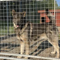 Eva Danielsson Johansson🤩🌸