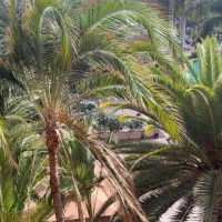 Minousan 😻❤️💘