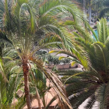 Minousan 😻❤️💘