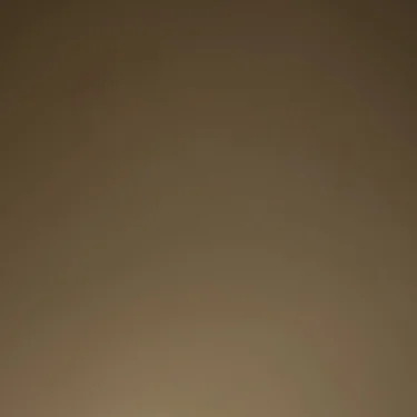 ejb1337