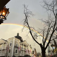 Linnéa Söderström