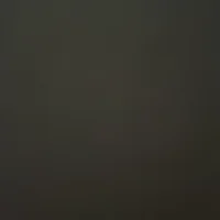 Sbhj321
