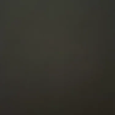 Sbhj321