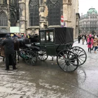 secondhand CP brandname