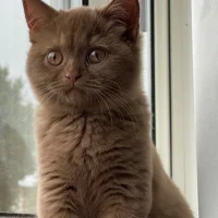 Alicia’s Garderob 🖤