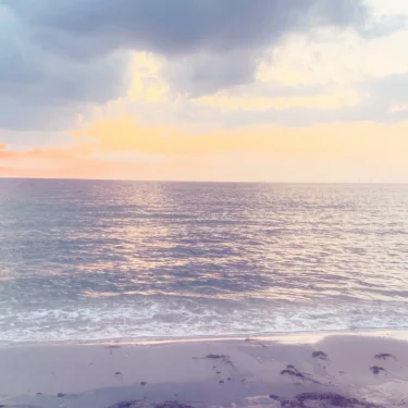 𝓜𝓮𝓵𝓪𝓷𝓲𝓪 ❣️