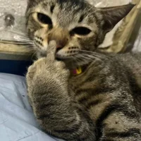 🤫🧏🏼‍♀️