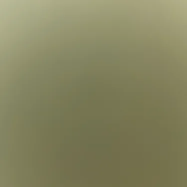 Fynd123