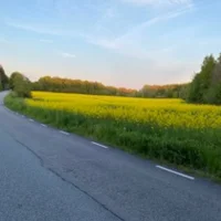 Cassandra Abrahamsson