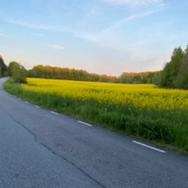 Cassandra Abrahamsson