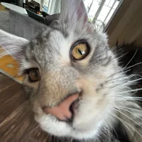 Jontes smycken o sånt