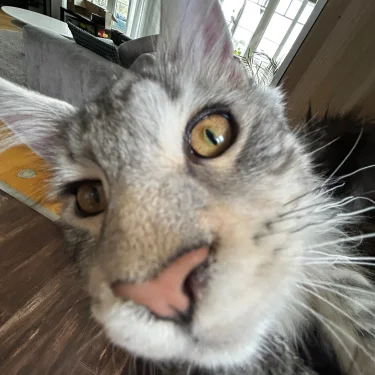 Jontes smycken o sånt