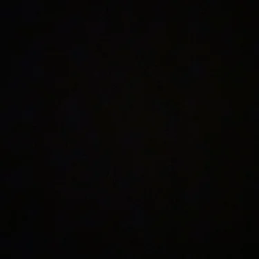 Gustav