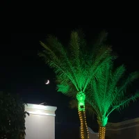 Petter Hollmer-Fröystad