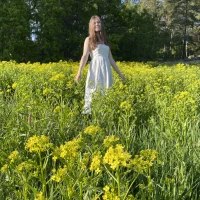 Lollovisa