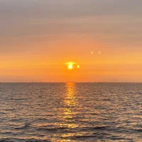 🎀⭐️🌸Dala🌸⭐️🎀