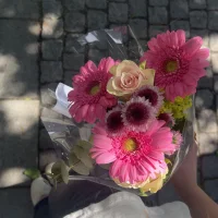 celineocherika11💘