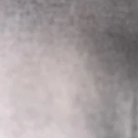Vilja
