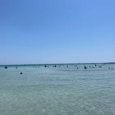 Linnéa💗✨🫶🏻💖