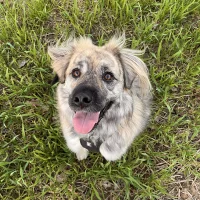 matildakennethsdotter