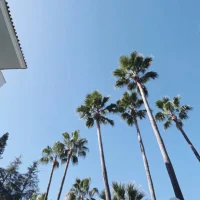 Märta Nyblom Myrhage