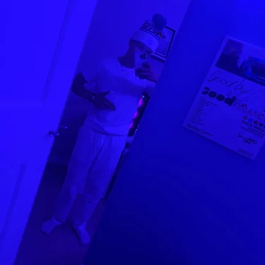 Wehlin08