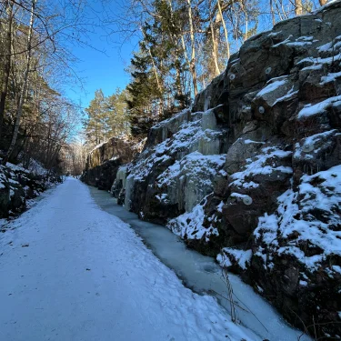 Esther Rosander Eriksson