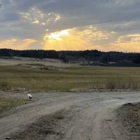 Hilda Camacho Andersson