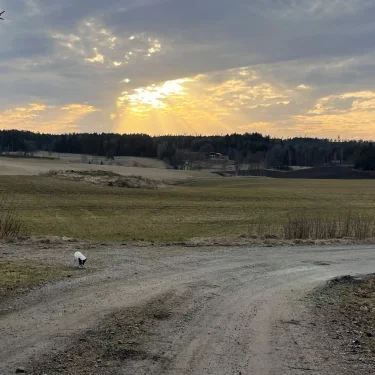 Hilda Camacho Andersson