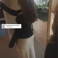 😼😼😼