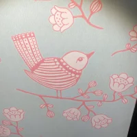 Judit Rydgren Lindqvist