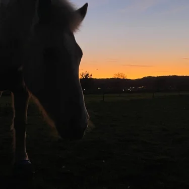 Matilda björklund🤍