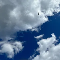 Christian Kyckling Mortensen