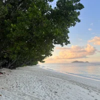 Sellout☀️☀️☀️