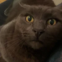 Elvira