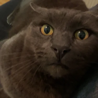 Elvira