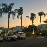 Mohajen