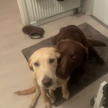 linnsellout❣️❣️