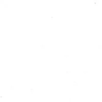 Jennifer Wesslegård