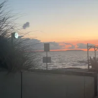 moa lundgren svensson