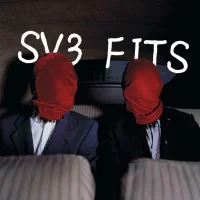 SV3 FITS
