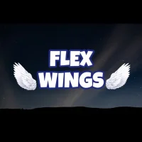 FLEX WINGS 🪽