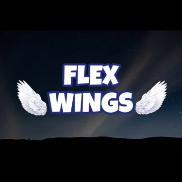 FLEX WINGS 🪽