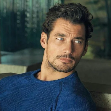 Gandy