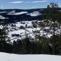 Laleh Wester Andersson