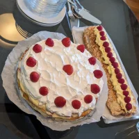 lejla Hadzijasaragic