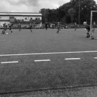 Ellajanssonislamovic