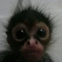 𝒥𝑜𝒾𝑒💓😋