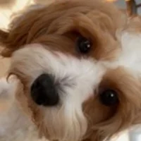 RensarGarderoben💖✨