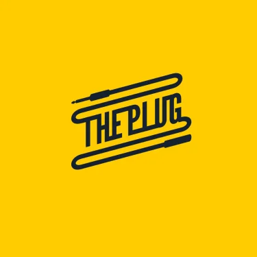 The plug